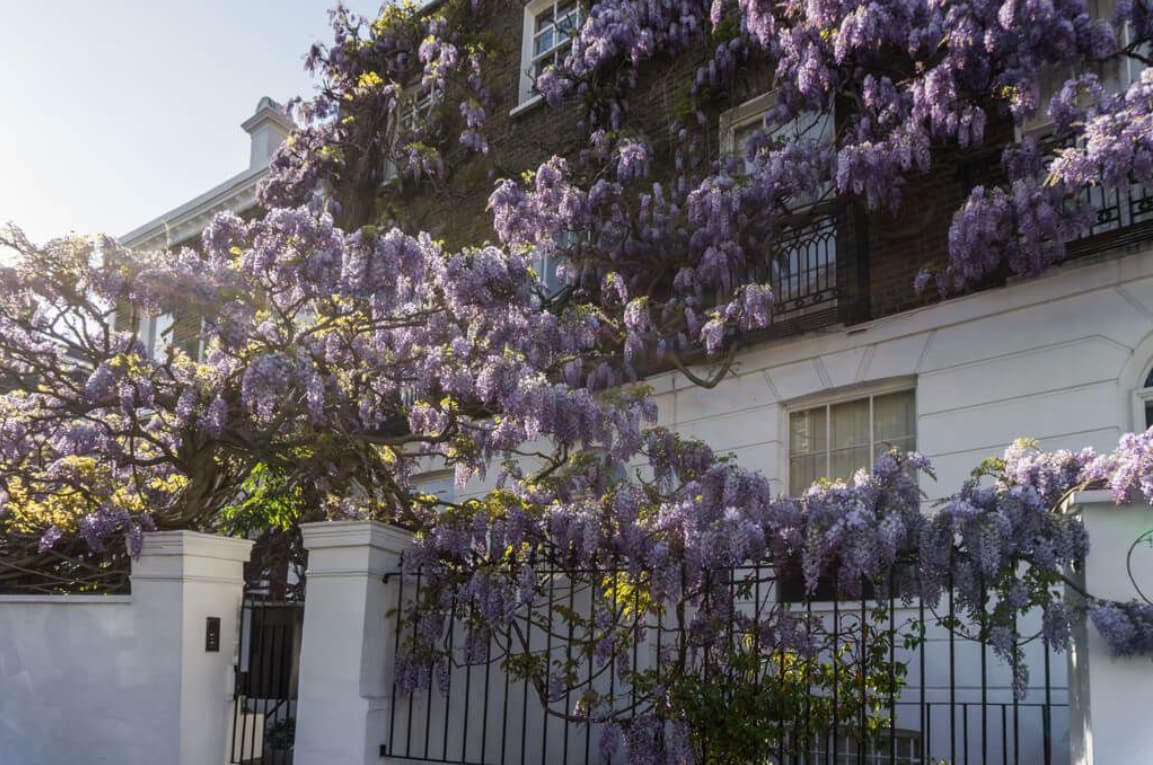 House in SW3